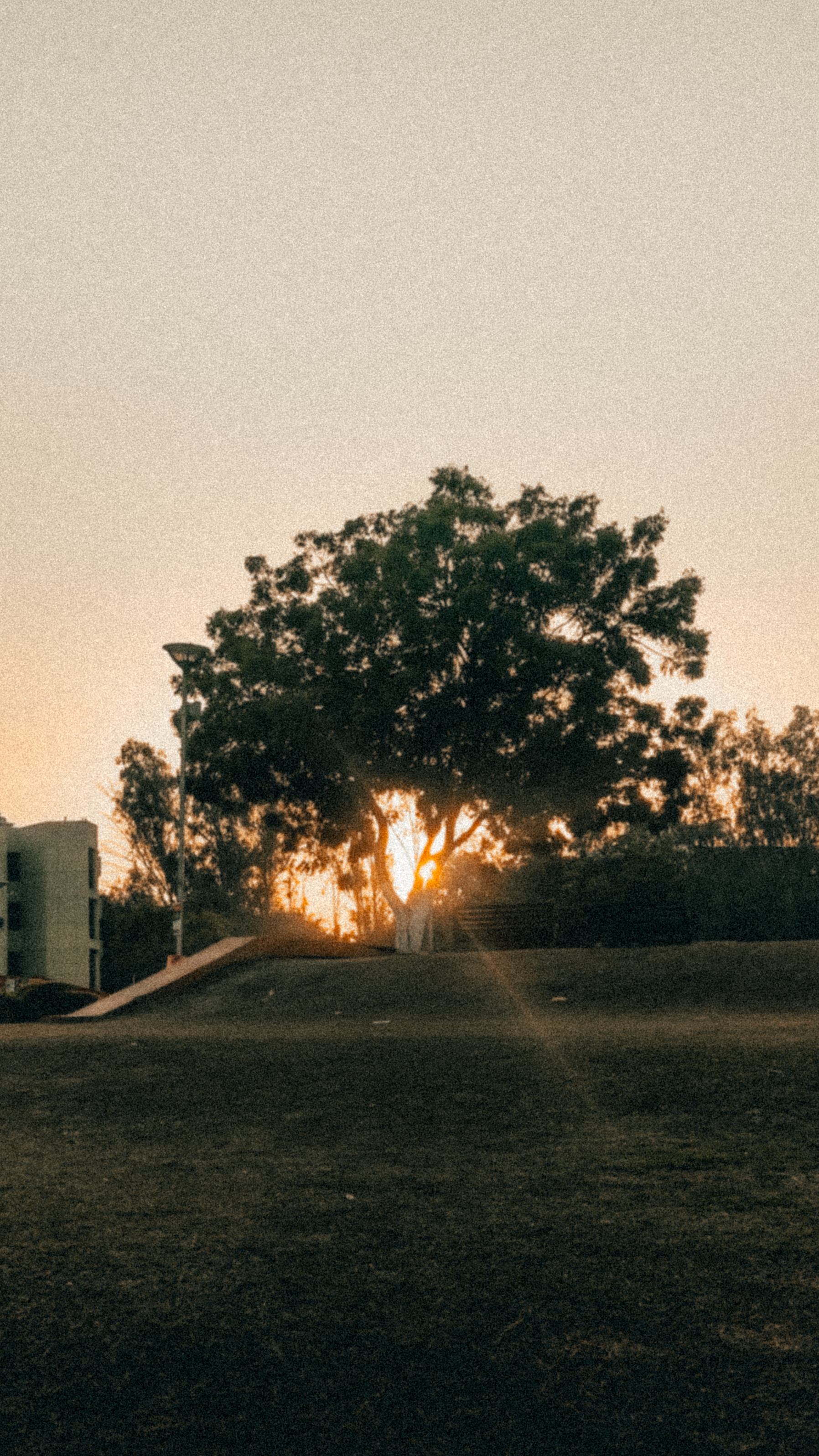 Delhi Technological University